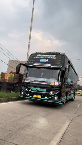 #fajartrans61 #dinasty #dinastytrans @Apank Ardiansyah @Fajar_trans61 