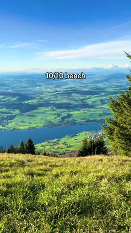 Nobody understands me… #🇨🇭 #switzerland #mountains #nature #vinland 