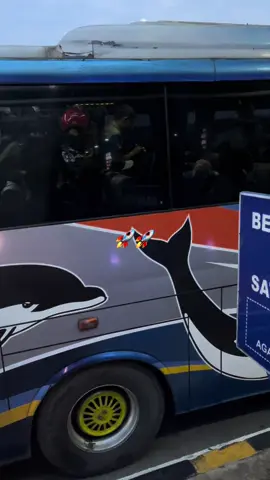 iki to seng mlayune koyok jet#sugengrahayu#jawatimur#fyppppp 