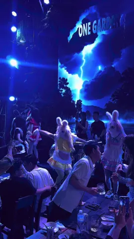 Cùng bắt thỏ nào ae ơi#onegarden #trending #typ