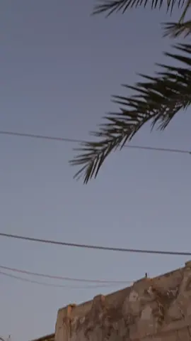 شنو نوع دراجتك 😇🙂. #العراق #ماكس #ماكسات_العراق🇮🇶 #ماكسات_تايوان🇹🇼 #الشعب_الصيني_ماله_حل😂😂 