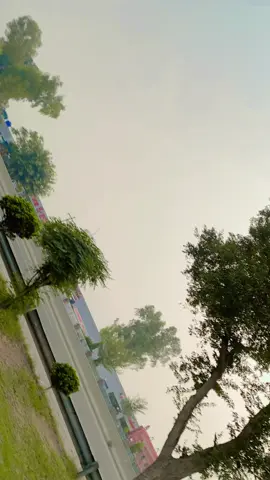 Laka pir ma boly boly 🖤🖤terending song 🥰🥰🥰🥰🐻🐻🐻🐻🐻🐻#SM🐻 #baloofficail🐻 