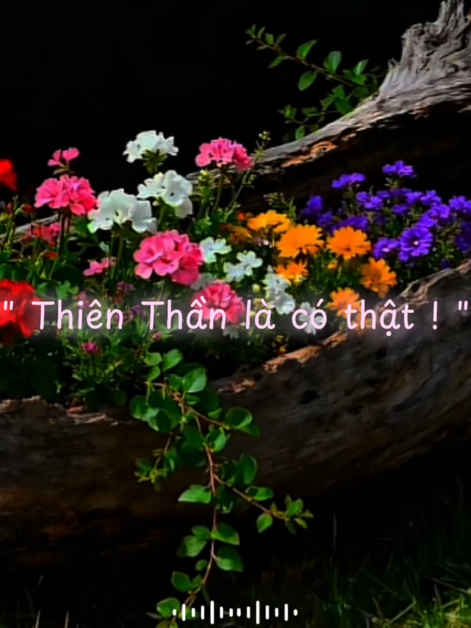 Em có thể gửi cho anh vài tấm hình được không... thiên thần là có thật nha !!#fyp #xh #vairal #thienthan #quangvu326 