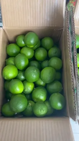 A c cần chanh không hạt xuất khẩu thì liên hệ e #vietcookjp #lime #seedlelemon #chanhkhonghat 