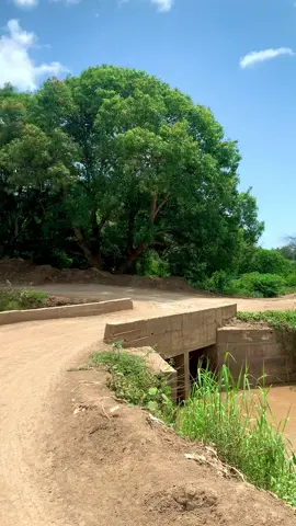 ##waa bundo kamida bundoyinka uu dhisay jaalle siyaad🫡