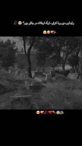 رابطوں میں رہا کرئے،لوگ اچانک مر جاتے ہیں🥀😰#urdupotery💔💔 #fypシ゚ #kabrstanvideo😢😢 #aliyanakram74 #unfrezzmyaccount 