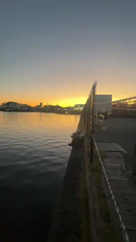 Aray mooo 🤦🏻 @ADO 