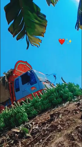 #creatorsearchinsights #creatorsearchinsight #sabirali✨ 