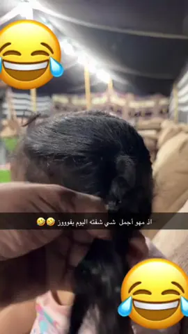 #اكسبلوررر 🥰