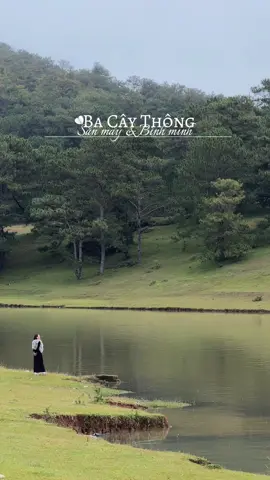 Chẳng ai lại đi Đà Lạt một mình cả #setupchill #chuandalat #dalat 