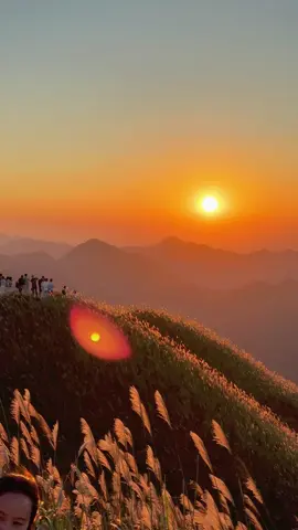 Bình Liêu chính thức vào mùa đẹp nhất trong năm. Hiện mình đã có lịch trình Bình Liêu các bạn quan tâm ib mình nhé 🛵🛵 #xuhuong #phuot #binhlieu #1297thienduongcolau 