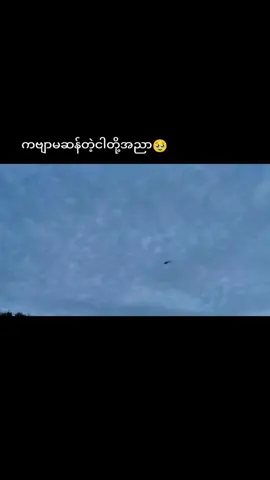 အားလုံး ဘေးကင်းကြပါစေဗျာ#foryoupage #ရောက်စမ်းfypပေါ် 