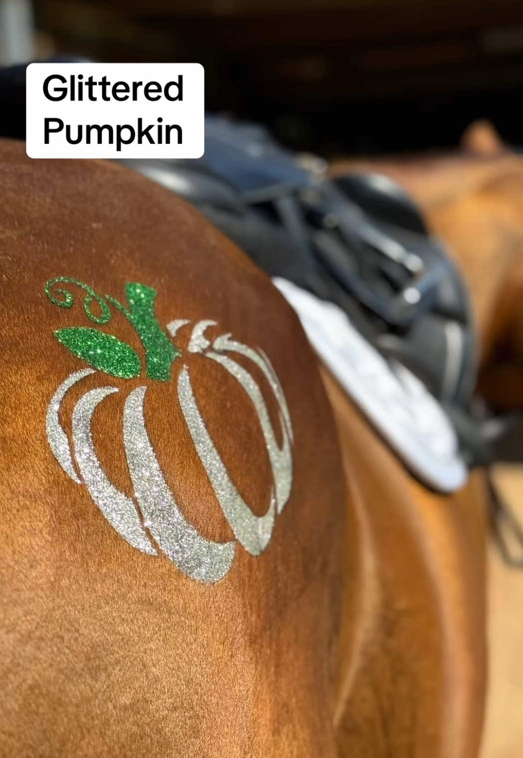 Pumpkin spice & sparkle vibes! 🎃🍂 Watch how to glitter your horse with our fall pumpkin Glittermarx 🌟🐴 #Glittermarx #horsegirl #mlp @Sophie & Penny #fallvibes #horse 