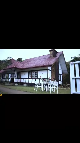 චියර්ස් බේබි ❤️❤️ 🎥 HUMAN ERRORS - Mini Series  Credit _ A for Apple  #miniseries #srilankan_tik_tok🇱🇰  #sinhalakatha #telekatha #sinhala 