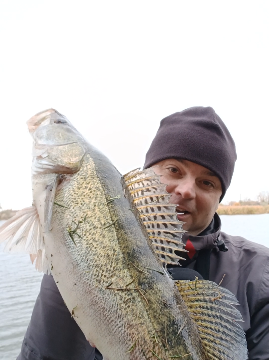 Сюда цих Судаків !!! 😎💪😁