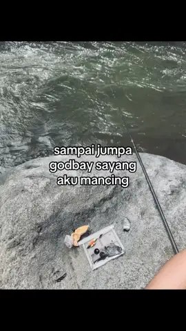 akuuu mancinggg #rockfishing #fyp #fypviralシ #xyzbca #masukberandafyp 