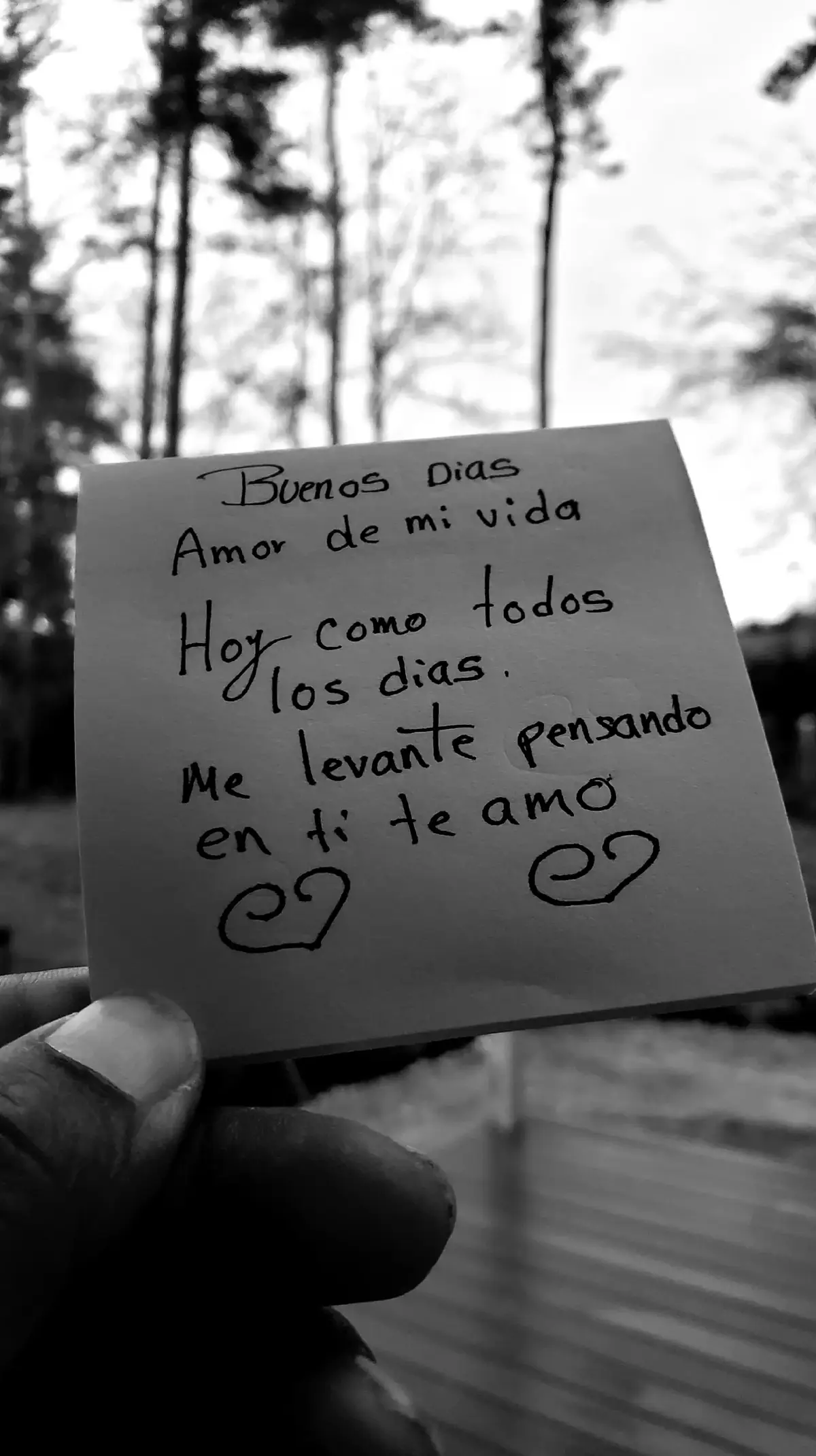 buenos días amor hoy como todos los días amenci pensando en ti te amo#teextraño💔😥🥀 #buenosdias #buenosdiasamor❤️ #teamoamormio🥰🌹🤗🌼🌻 #buendiaamores🥰🥰🥰 
