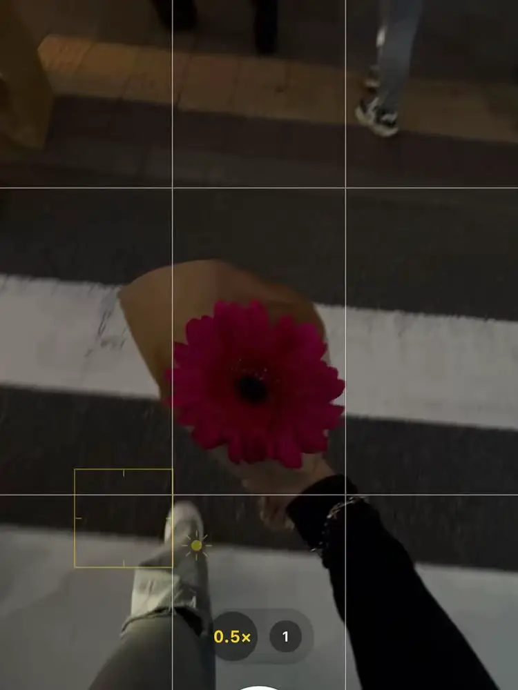 日本語を食べた😝