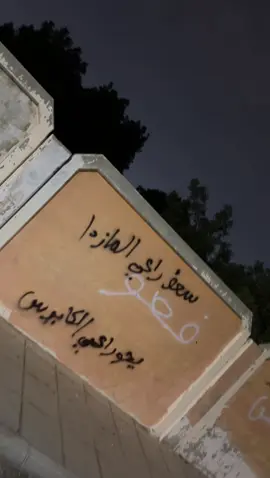 #الشعب_الصيني_ماله_حل😂😂 #4u #ترند #اكسبلور #مازدا 