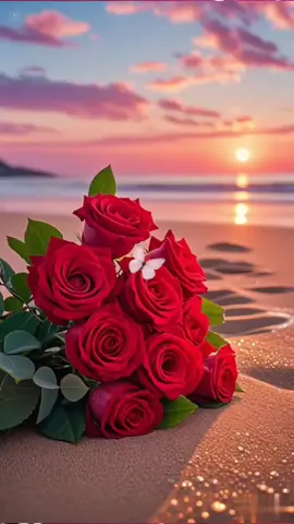 🌹🌹@Ashraf Eid #مشاهير_تيك_توك #الشعب_الصيني_ماله_حل😂😂 #اكسبلور #مشاهدات #متابعين 