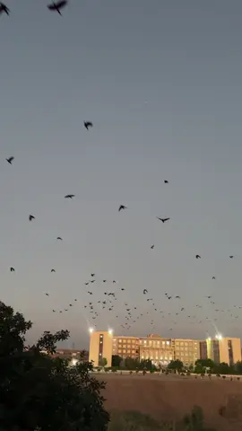 وتەیەک بۆ سەر ئەم ڤیدیۆیە ..؟#uoz_zakho🏛📚🖤 #داخلی #arbil_iraq_sulaymanya_duhok_karkuk #fyp #uoz_zakho🏛📚🖤 