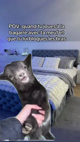 La technique ultime #meme #memes #relatable #couple #funny 