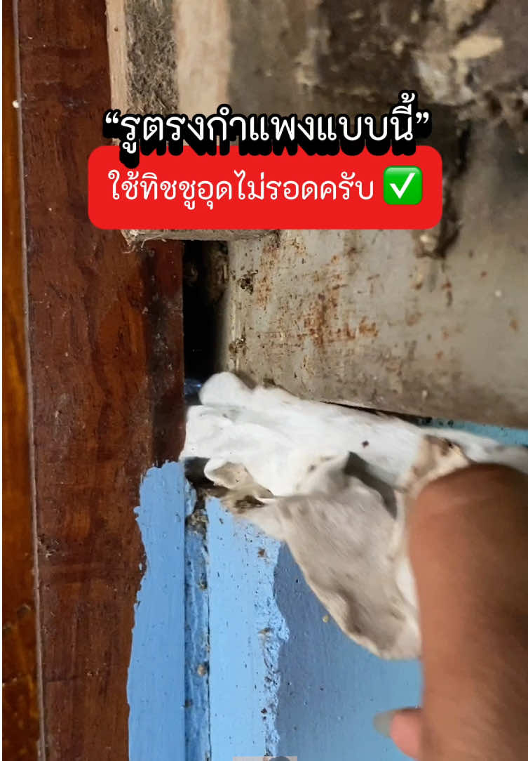 รูตรงกำแพงแบบนี้ ทิชชูอุดไม่รอดครับ✅ #ดินน้ํามัน #ดินน้ํามันอุดผนัง #ดินน้ํามันปิดรอยรั่ว #กันรั่วซึม #ดินน้ํามันโฟมอุดผนัง 