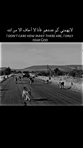 #explor #goviral #tiktok #trending #fyp 