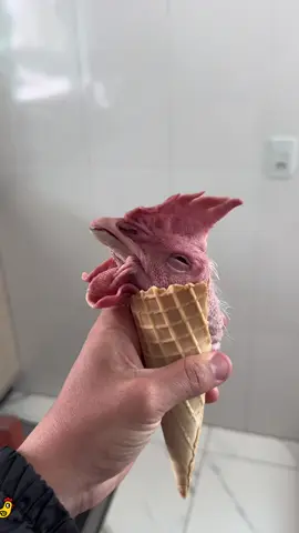 Chicken head food parody🤣🤣#scareprank#jumpscare#funnyreaction#prank#betatiktok