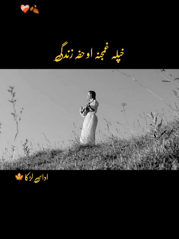 ما خر سہ ولہ خو چا وانہ غیستہ خپلہ غمجنہ او حفہ زندگی #foryou #creatorsearchinsight #unfreezemyacount #veiwsproblem #virlvideo @TikTok @TikTok LIVE @TiktokPakistanOfficial @𝗞𝗔𝗥𝗔𝗞 𝗞𝗜𝗡𝗚 @🔥MY HALIMA OFFICIAL🔥 @SaFi🇨🇦🍁🇦🇫🌙🍁 @❣️Mano ho yr❣️ @Hoor Mahaveera @shabandimir 