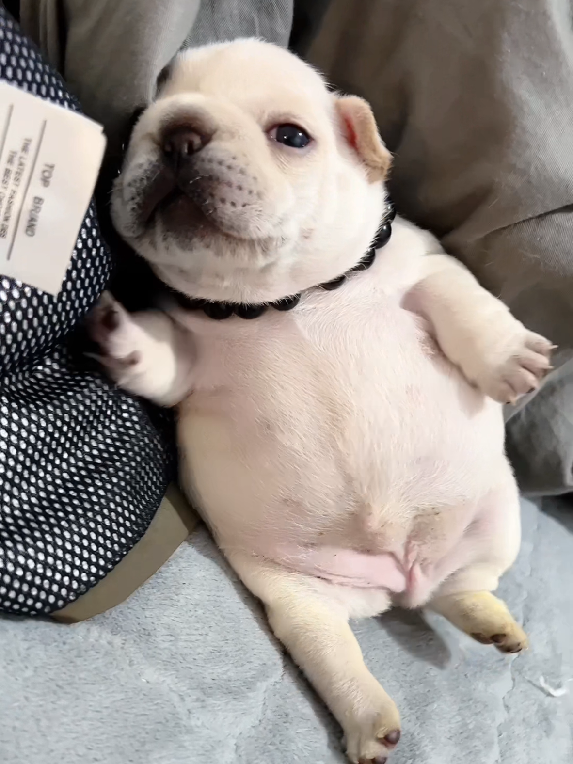 小天使来了！有木有被萌到呢？