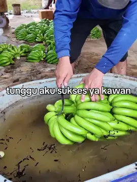 #pinjam100 yakawan#masukberanda #motivation #jokes #galaubrutal 