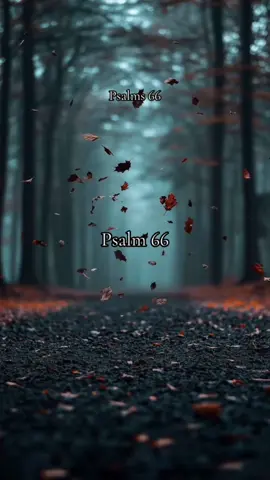 #onthisday #reading #psalm66 #ChristianTikTok 