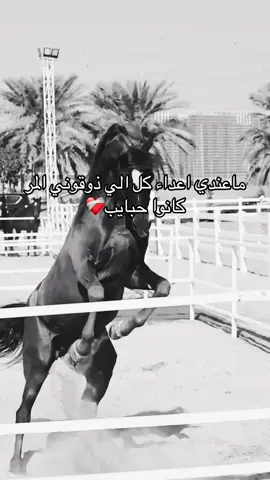 #خيل_وخياله🐎 #fyp #viral #اقتباسات #اكسبلورexplore 