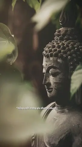 #thienduyen #chepkinh #kinhdiatang #phatphap #fyp 