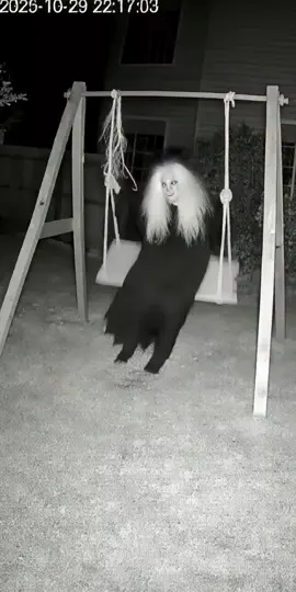 Horror scene caught on camera 💀☠️👻 #haunted #horror #paranormal #unitedkingdom #english 