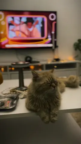 #CapCut #اكسبلورexplore #اكتوبر 