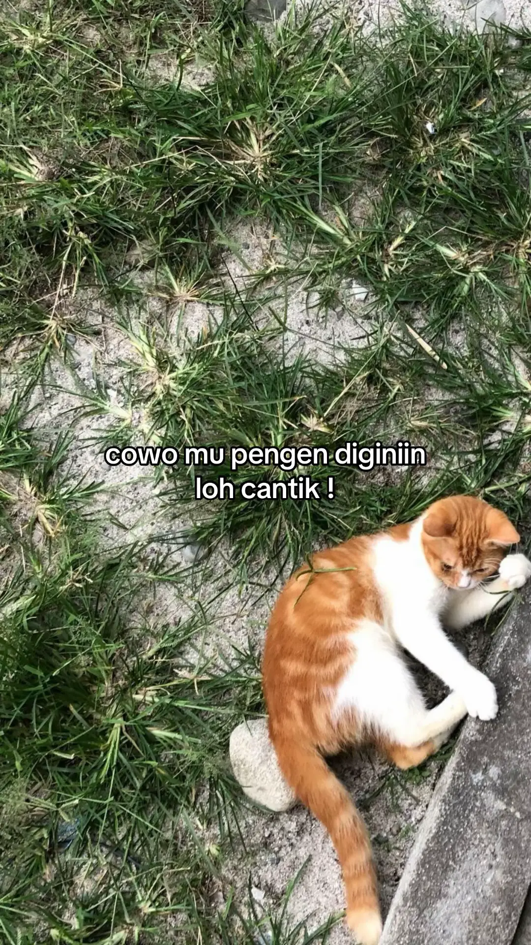 #galaubrutal #sadvibes #fyp #fypage #xybca 