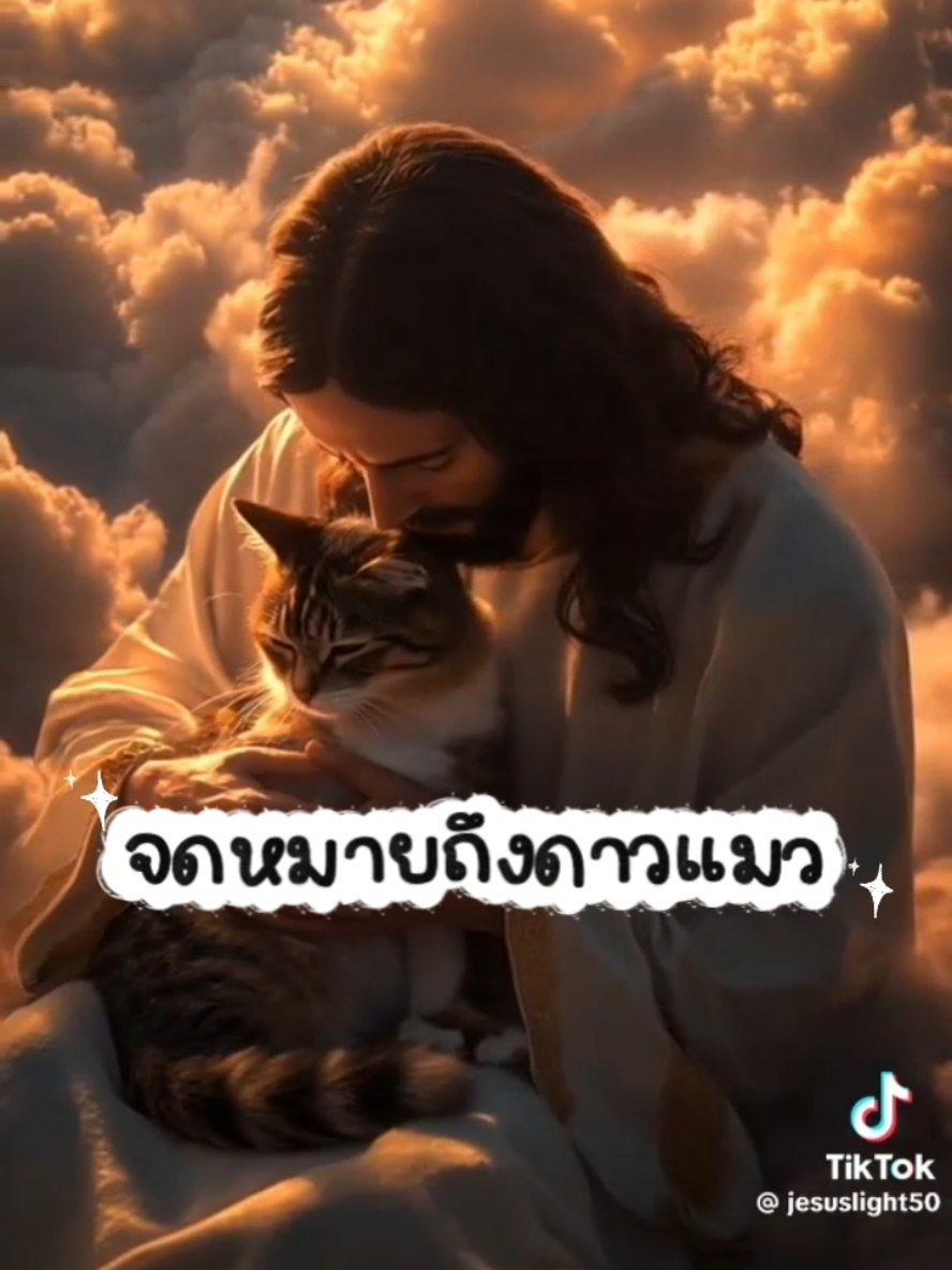 นี่คือความในใจของพ่อและแม่ทุกคนนะลูก รีบกลับมานะคนดี🥹 #แมว #ทาสแมว #ความรัก #การจากลา #เอาขึ้นหน้าฟีดที 