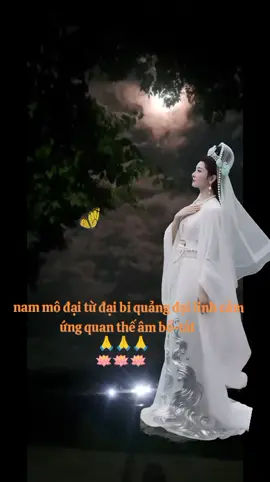 #nam mô đại bi quan thế âm bồ tát 🙏🙏🙏🪷