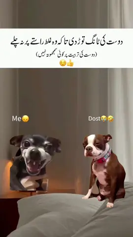 😂🫂  #fyp #viral #funnymemes #foryou #viralmemes 