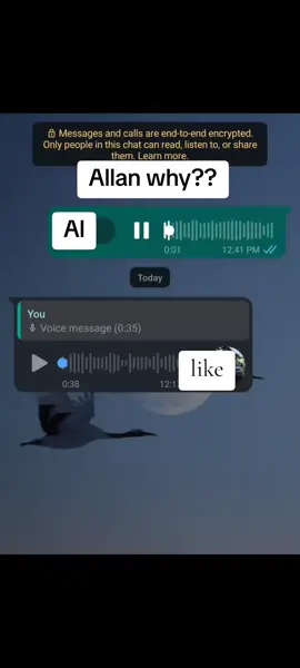 #fyppppppppppppppppppppppp #fyppppppppppppppppppppppp #fyppppppppppppppppppppppp #ugandatiktok #trend 
