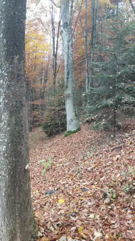 #гори #карпати #україна #рекомендации #рекомендации 