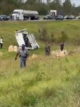 Monkeys being transported on a Mississippi highway escaped captivity Tuesday after the truck carrying them overturned, according to law enforcement. All but one of the escaped monkeys were killed, the Jasper County Sheriff's Department said in a post on Facebook, warning that the monkeys were 