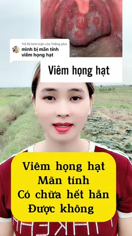 Trả lời @Thắng plus viêm họng hạt ngậm ngay 3 lần hết hăn không bị lại nữa ạ #maiphuong_td1 #ongculangnghe #viêm_amidan_hốc_mủ #viêmhong 