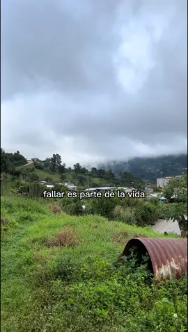 #CapCut #LIVEIncentiveProgram #LIVEStory #PaidPartnership 