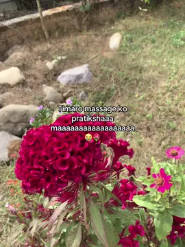 #flyppppppppppppppppppppppppppppppp #xybca #foryou #fly #viral 