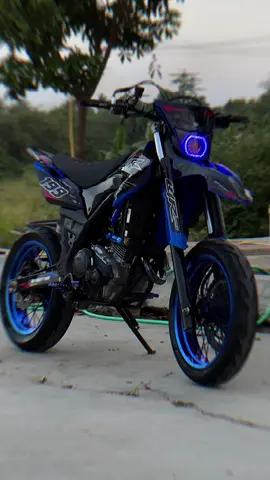 Apakah ini beracun?#fyp #wr155supermoto #btsanjing 