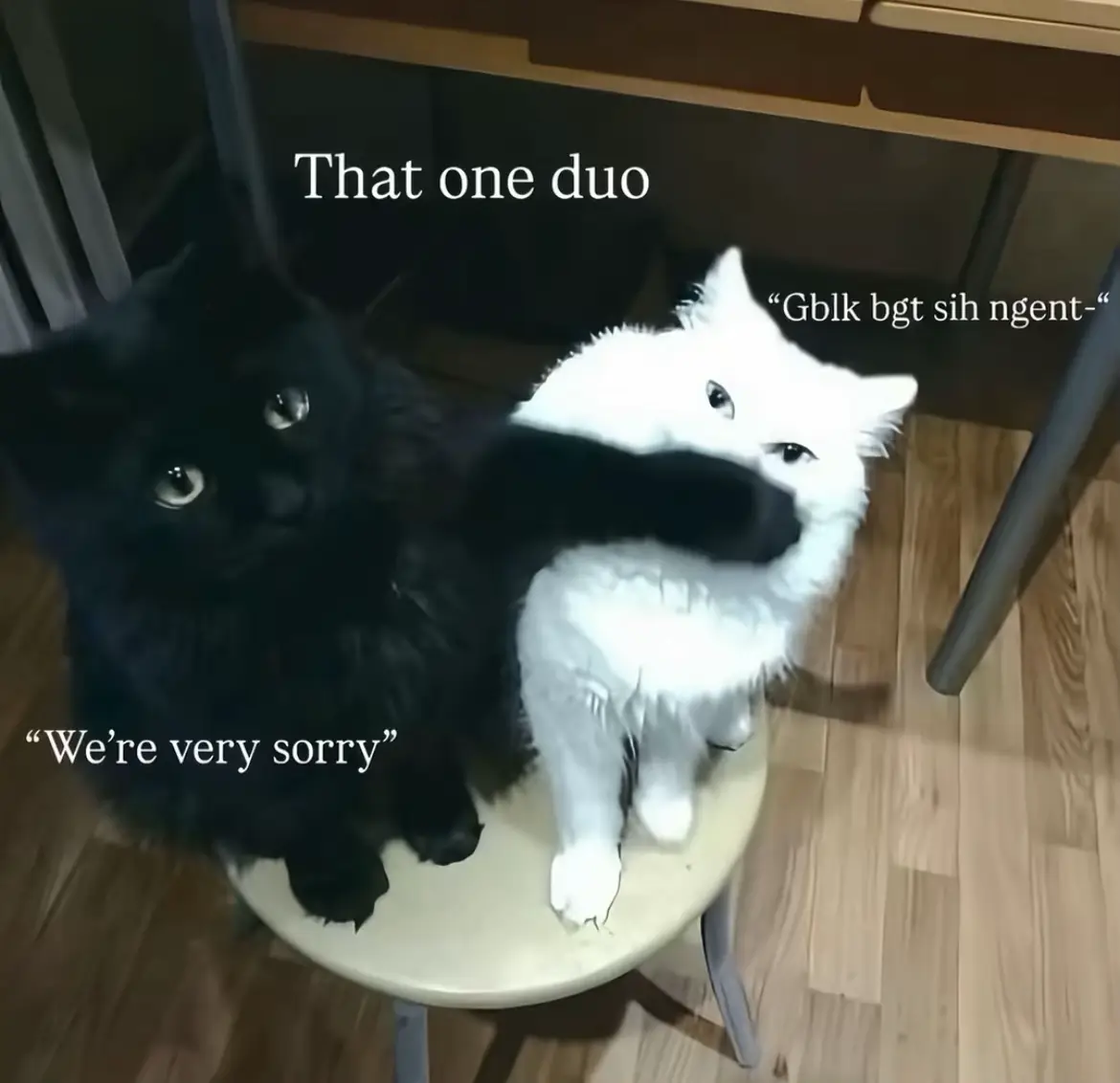 😭 @Challysa🦋 🤏🏻 #robloxgames #robloxfyp 