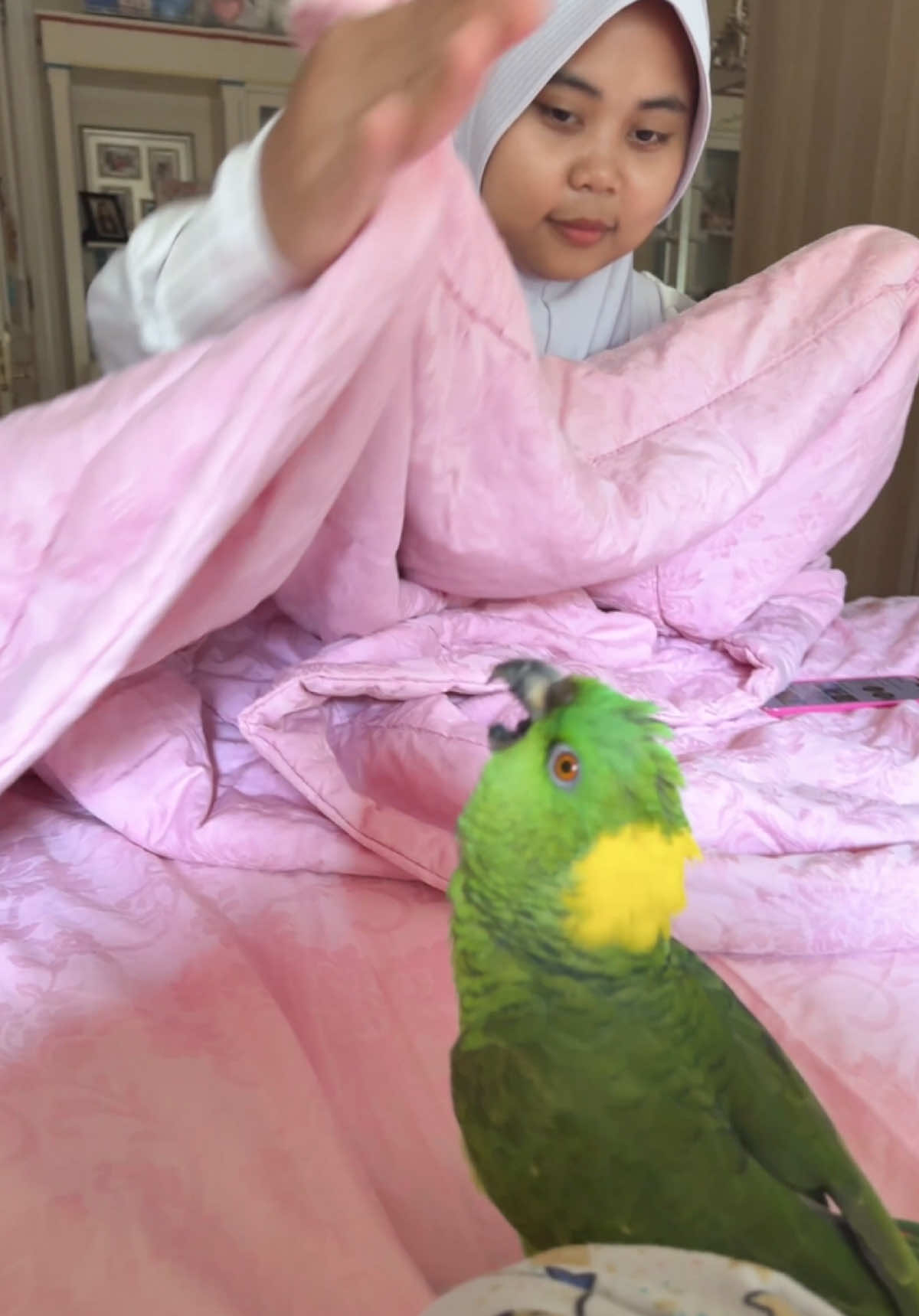 sasha be like “i’m done crying, now i’m flying for attack” 😭🪽🦜😂 emi literally caught 💀 • • • • • #viral #trending #foryou #fyp #sasha #talkingparrot #funny #cry #burung #attack #drama 